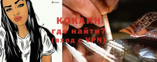 метадон Богданович