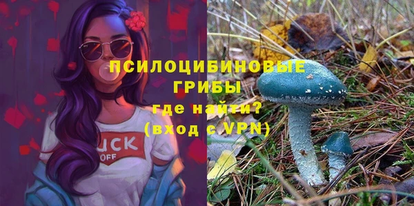 сатива Богородск