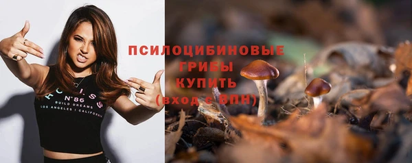 метадон Богданович