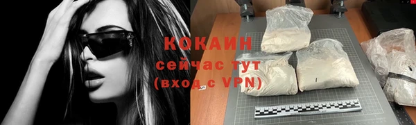 прущая мука Богородицк