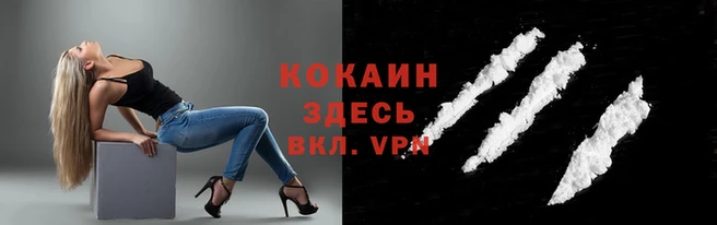 метадон Богданович