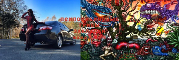 прущая мука Богородицк