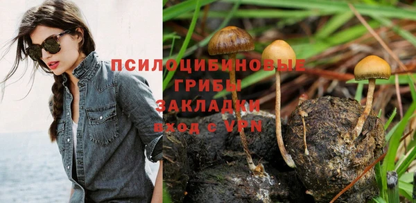 прущая мука Богородицк