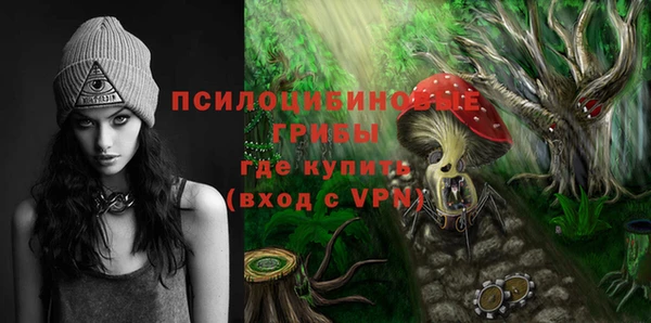 прущая мука Богородицк