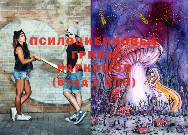 прущая мука Богородицк
