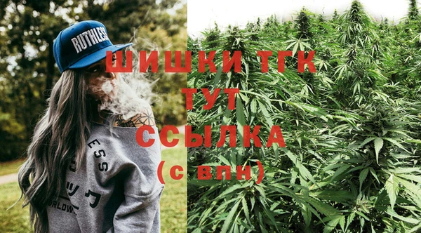 сатива Богородск