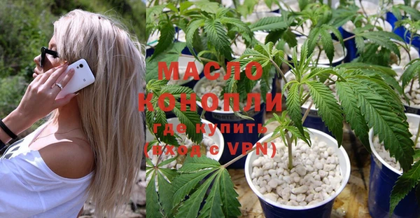 метадон Богданович