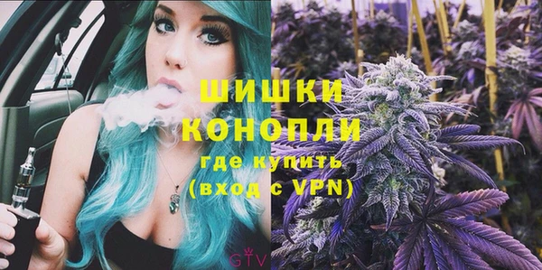 сатива Богородск