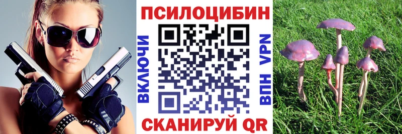 Псилоцибиновые грибы Psilocybe  Купить закладки  Елизово 